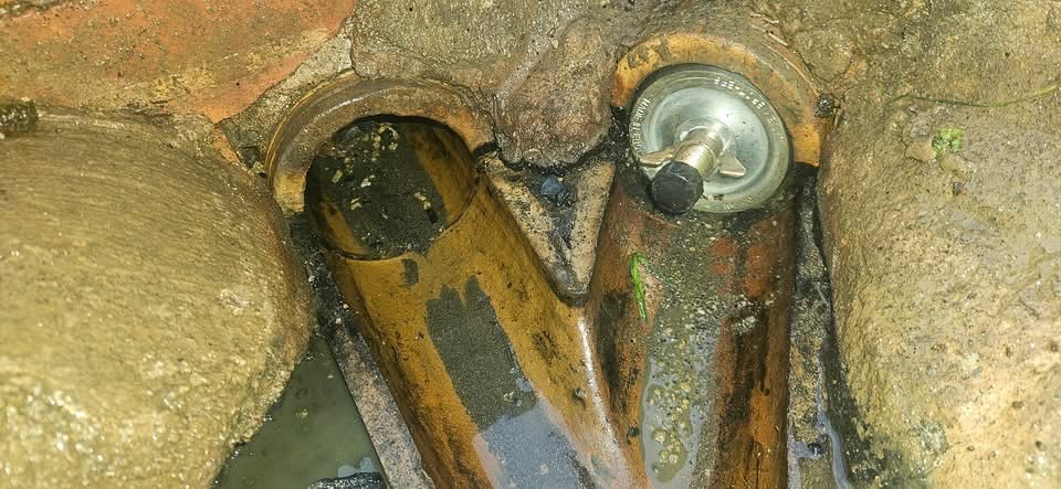 Pest Control Device Drain